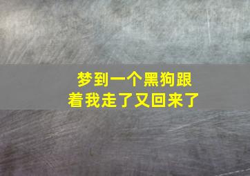 梦到一个黑狗跟着我走了又回来了