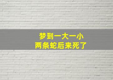 梦到一大一小两条蛇后来死了