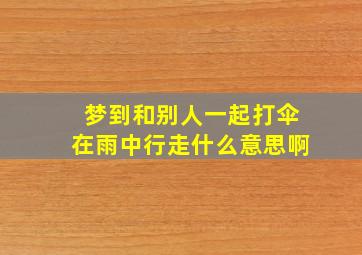 梦到和别人一起打伞在雨中行走什么意思啊