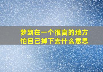 梦到在一个很高的地方怕自己掉下去什么意思