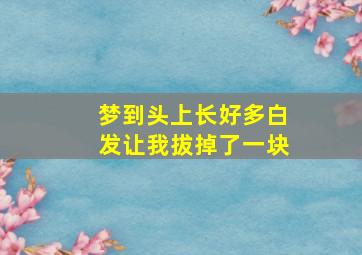 梦到头上长好多白发让我拔掉了一块