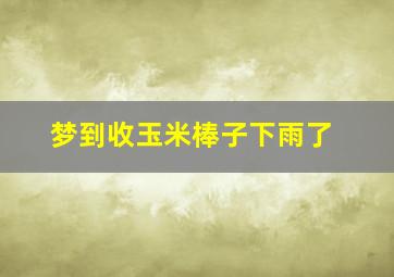 梦到收玉米棒子下雨了