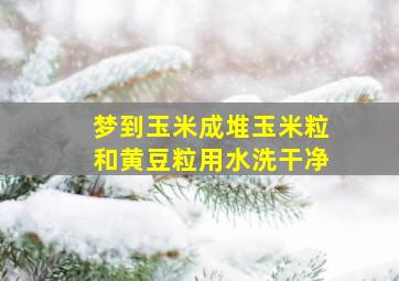 梦到玉米成堆玉米粒和黄豆粒用水洗干净