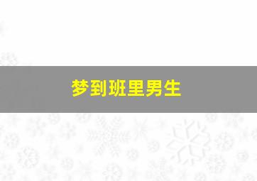 梦到班里男生