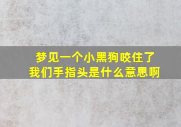 梦见一个小黑狗咬住了我们手指头是什么意思啊