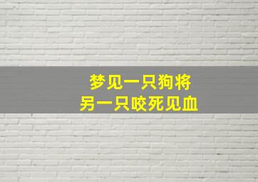 梦见一只狗将另一只咬死见血