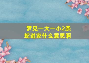 梦见一大一小2条蛇进家什么意思啊