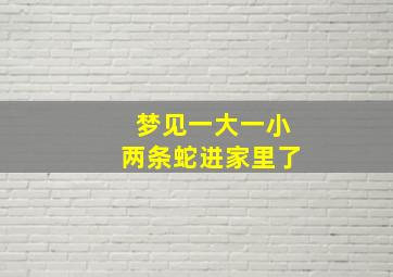 梦见一大一小两条蛇进家里了