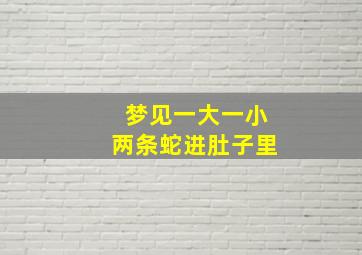 梦见一大一小两条蛇进肚子里