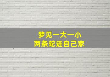 梦见一大一小两条蛇进自己家