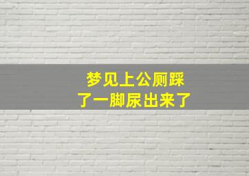 梦见上公厕踩了一脚尿出来了