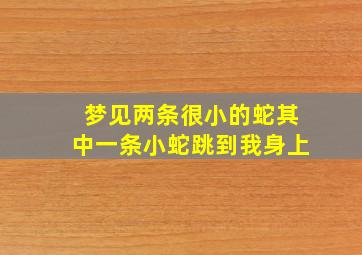 梦见两条很小的蛇其中一条小蛇跳到我身上