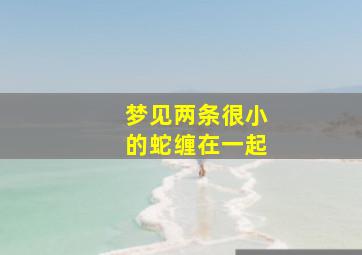 梦见两条很小的蛇缠在一起