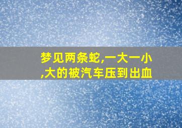 梦见两条蛇,一大一小,大的被汽车压到出血