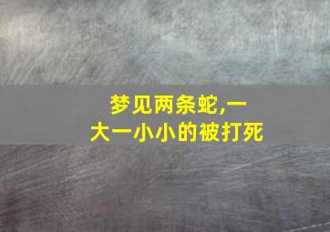 梦见两条蛇,一大一小小的被打死