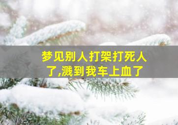 梦见别人打架打死人了,溅到我车上血了