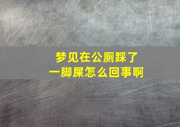 梦见在公厕踩了一脚屎怎么回事啊