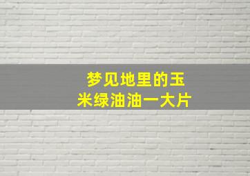 梦见地里的玉米绿油油一大片