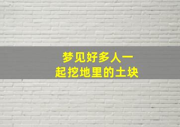 梦见好多人一起挖地里的土块