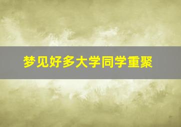 梦见好多大学同学重聚