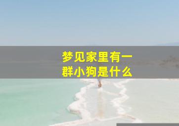 梦见家里有一群小狗是什么