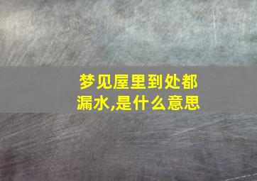 梦见屋里到处都漏水,是什么意思