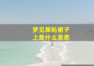 梦见屎粘裙子上是什么意思