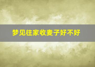 梦见往家收麦子好不好