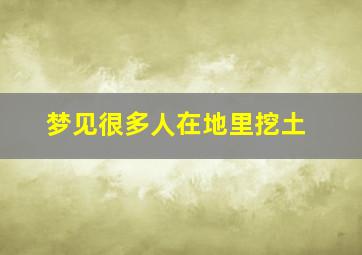 梦见很多人在地里挖土