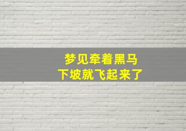 梦见牵着黑马下坡就飞起来了