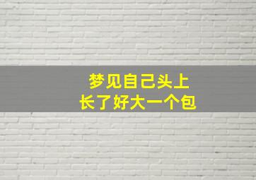 梦见自己头上长了好大一个包