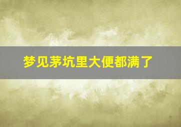 梦见茅坑里大便都满了