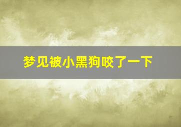 梦见被小黑狗咬了一下