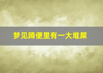 梦见蹲便里有一大堆屎