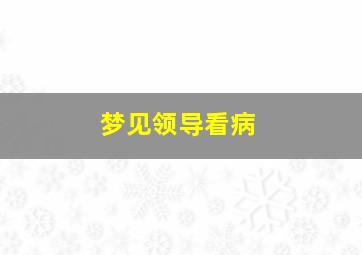 梦见领导看病