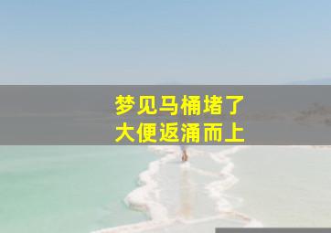 梦见马桶堵了大便返涌而上