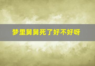 梦里舅舅死了好不好呀