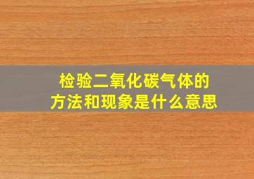 检验二氧化碳气体的方法和现象是什么意思