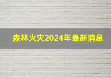 森林火灾2024年最新消息