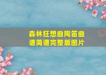 森林狂想曲陶笛曲谱简谱完整版图片