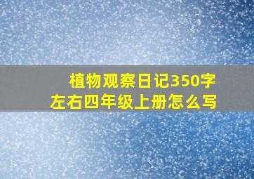 植物观察日记350字左右四年级上册怎么写