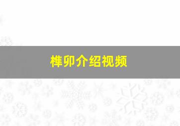 榫卯介绍视频