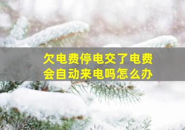 欠电费停电交了电费会自动来电吗怎么办