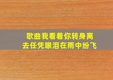 歌曲我看着你转身离去任凭眼泪在雨中纷飞