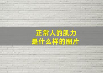 正常人的肌力是什么样的图片