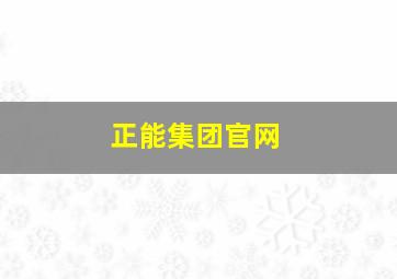 正能集团官网