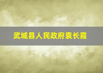 武城县人民政府袁长霞