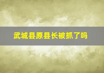 武城县原县长被抓了吗