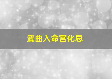 武曲入命宫化忌