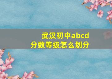 武汉初中abcd分数等级怎么划分